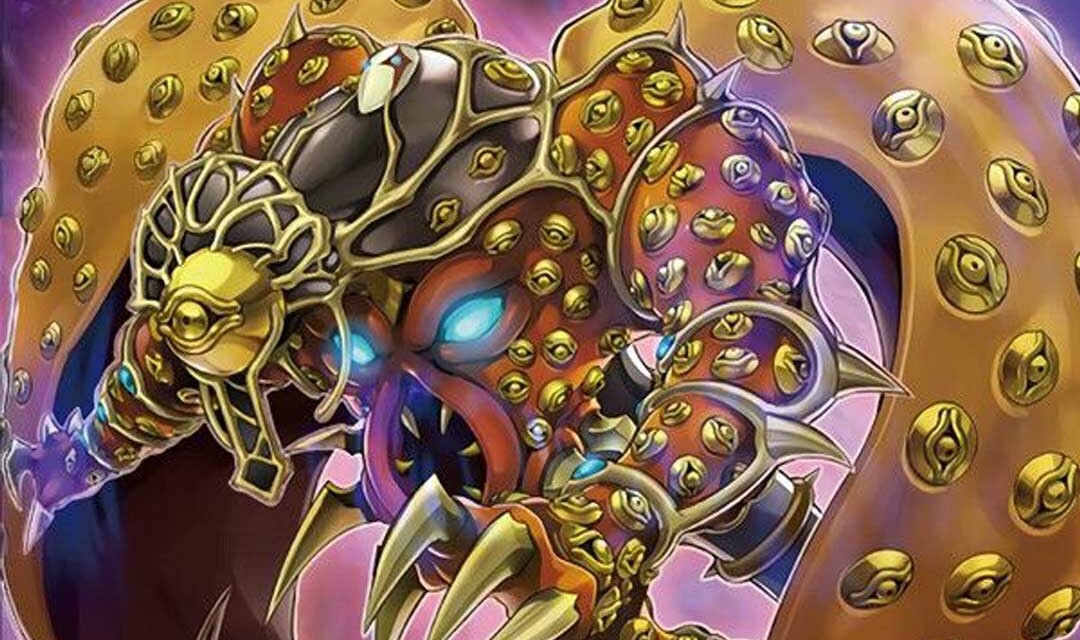 Deck Renoncé MR5