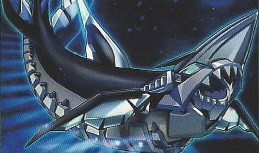 Deck Requin