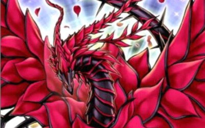 Deck Dragon Rose